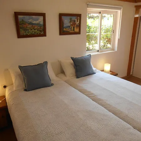 Casa Isabel 펜션 Icod el Alto